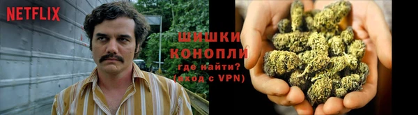 молекула духа Бородино