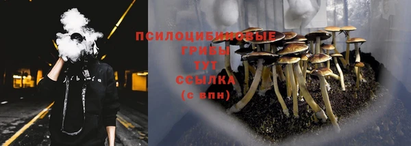 молекула духа Бородино