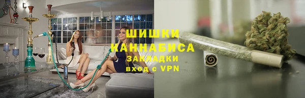 молекула духа Бородино
