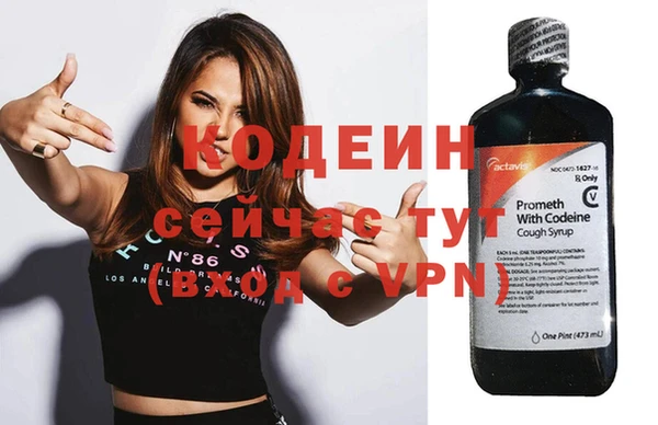 молекула духа Бородино