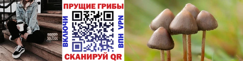 Псилоцибиновые грибы Psilocybe  Игра 